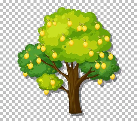 Lemon tree on transparent background Stock Illustration
