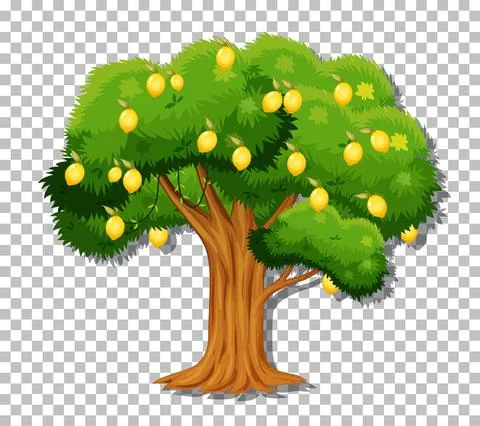 Lemon tree on transparent background Stock Illustration