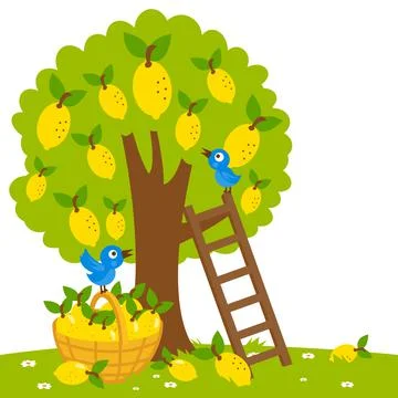 Lemon tree. Vector Illustration Stock Illustration