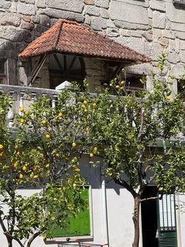 Lemon trees with ripe fruit, old stone building. concept of travel. Stock-Fotos