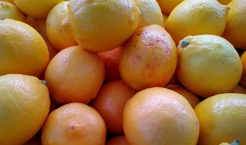 Lemon is a type of orange whose fruit is commonly used as a flavoring Stock Photos