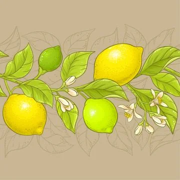 Lemon vector pattern Stock Illustration