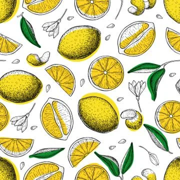 Lemon vector seamless pattern. Drawing lemon colorful background Stock Illustration