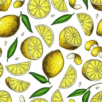 Lemon vector seamless pattern drawing. Summer citrus fruit print Stock Illustration