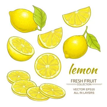 Lemon vector set Stock Illustration