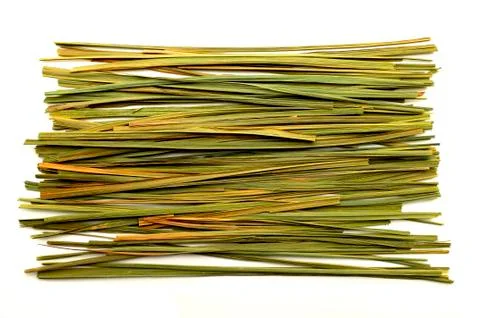 Lemon verbena Foto stock