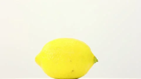 The lemon on white background Vídeos de archivo 92601584