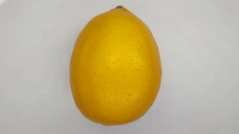 Lemon on a white background Stock Footage 167026240