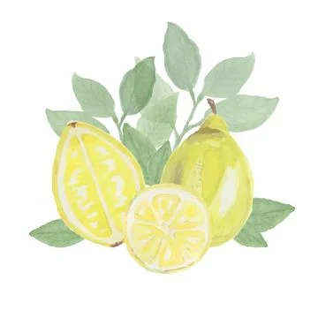 Lemon on white background Illustrazione stock