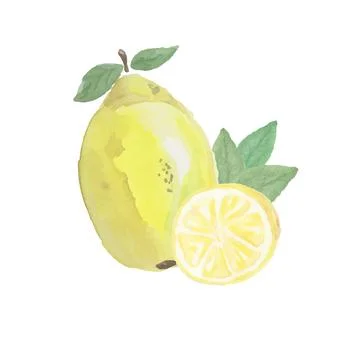 Lemon on white background Stock Illustration