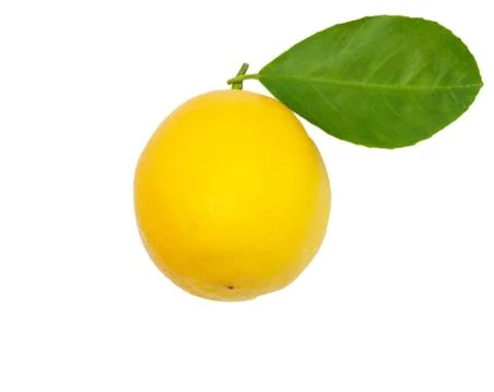 Lemon on a white background Stock Photos
