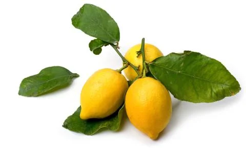 Lemon on white Foto stock