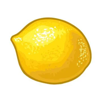 Lemon whole. Isolated on white. Vector color flat illustration Stock Illustration
