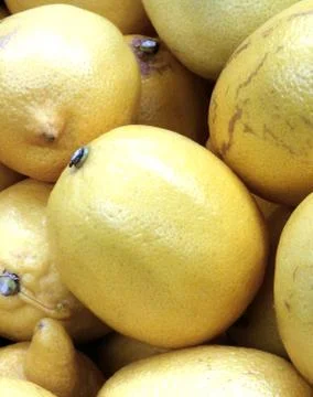 Lemon yellow in the centre Stock Photos