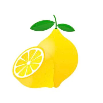 Lemon. Yellow lemon vector illustration isolated on white background. Stock Illustration