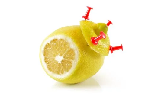 Lemon yellow on a white background Stock Photos