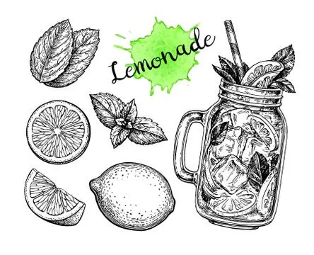 Lemonade and ingredients. Stock Illustration