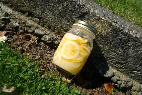 Lemonade Stock Photos