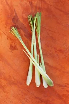 Lemongrass bundle. Stock Photos