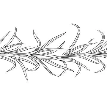 Lemongrass Outline Horizontal Seamless Pattern. Stock Illustration