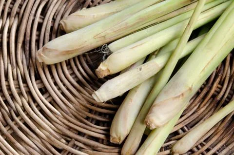 Lemongrass Stock-Fotos