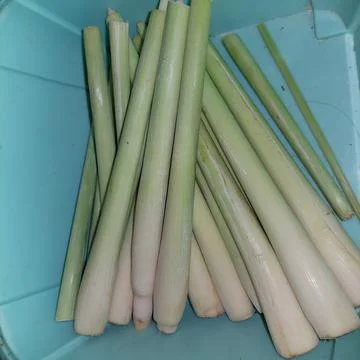 Lemongrass Stock Photos