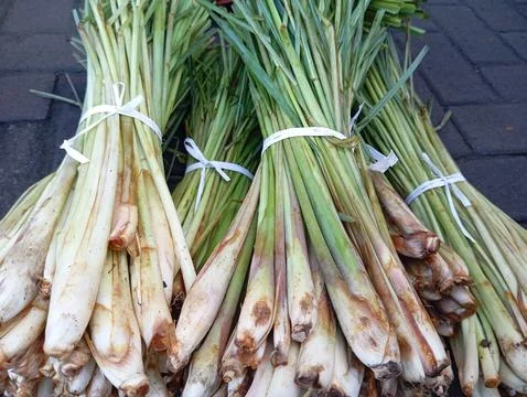 Lemongrass Stock Photos