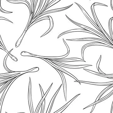 Lemongrass seamless pattern Stock-Illustration