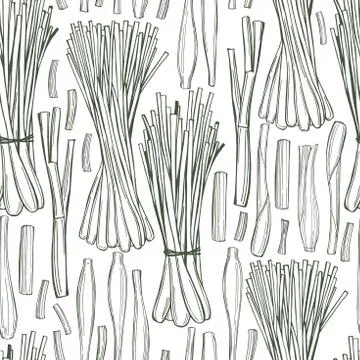 Lemongrass.   Vector  pattern. Stock Illustration