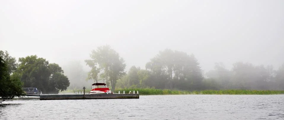 Lemoning 스톡 사진