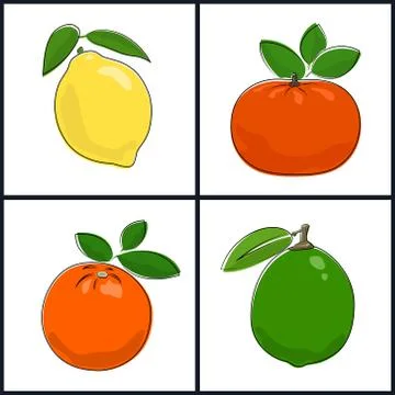 Lemon,Orange, Mandarin, Lime Illustrazione stock