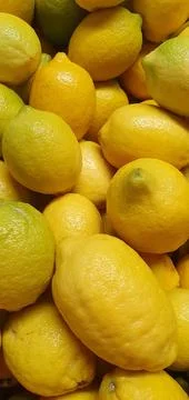 Lemons (1) Stock Photos