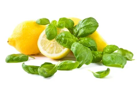 Lemons and basil leaves Stock Photos