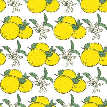 Lemons and flowers seamless pattern Stock Illustration