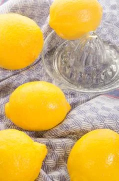 Lemons and lemon squeezer on a kitchen towel Stock Photos