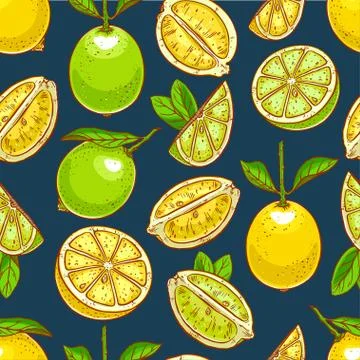 Lemons and limes background Ilustración de archivo