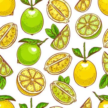 Lemons and limes background Stock Illustration