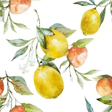 Lemons and oranges Stock Illustration