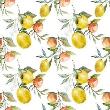 Lemons and oranges Stock Illustration