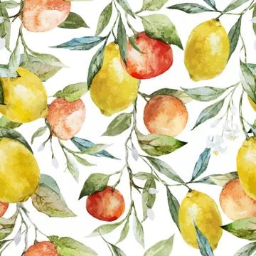 Lemons and oranges Stock Illustration