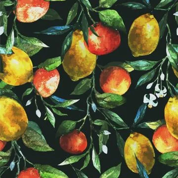 Lemons and oranges Stock Illustration