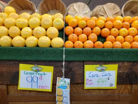 Lemons and Oranges 스톡 사진