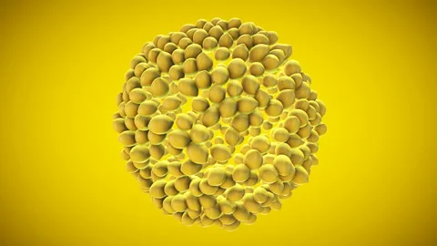Lemons appear from one point to circle and disappear Stock-Footage 89237835