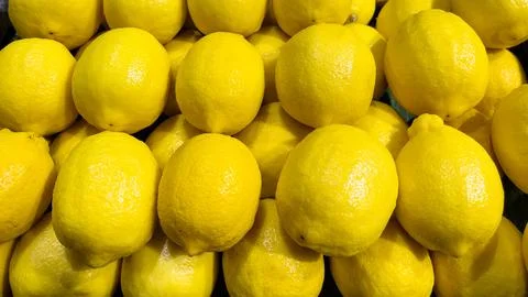 Lemons are arranged in rows as a background. Stock Photos