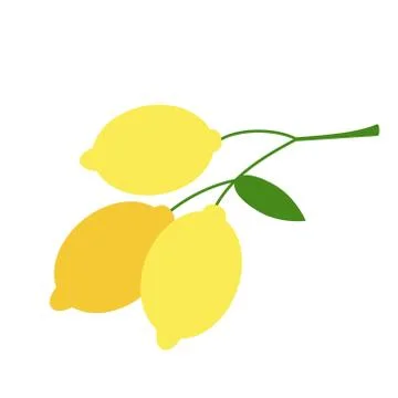 Lemons branch flat simple illustration Stock Illustration