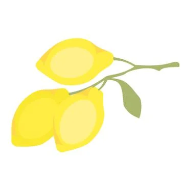 Lemons branch flat simple illustration Stock Illustration