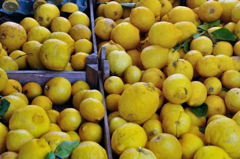 Lemons in crates background 스톡 사진