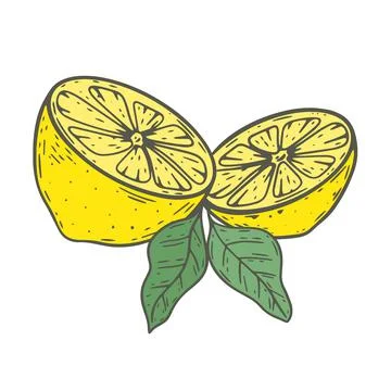 Lemons cut in half vector illustration Stock Illustration