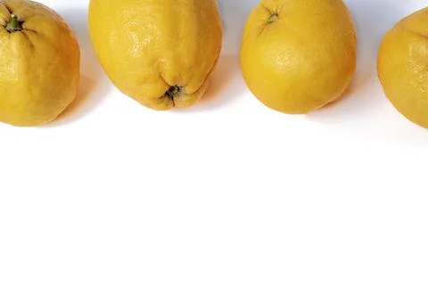 Lemons with different shapes on a white background ,copy space. Stock Photos