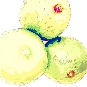 Lemons as drawing lines Stock-Fotos